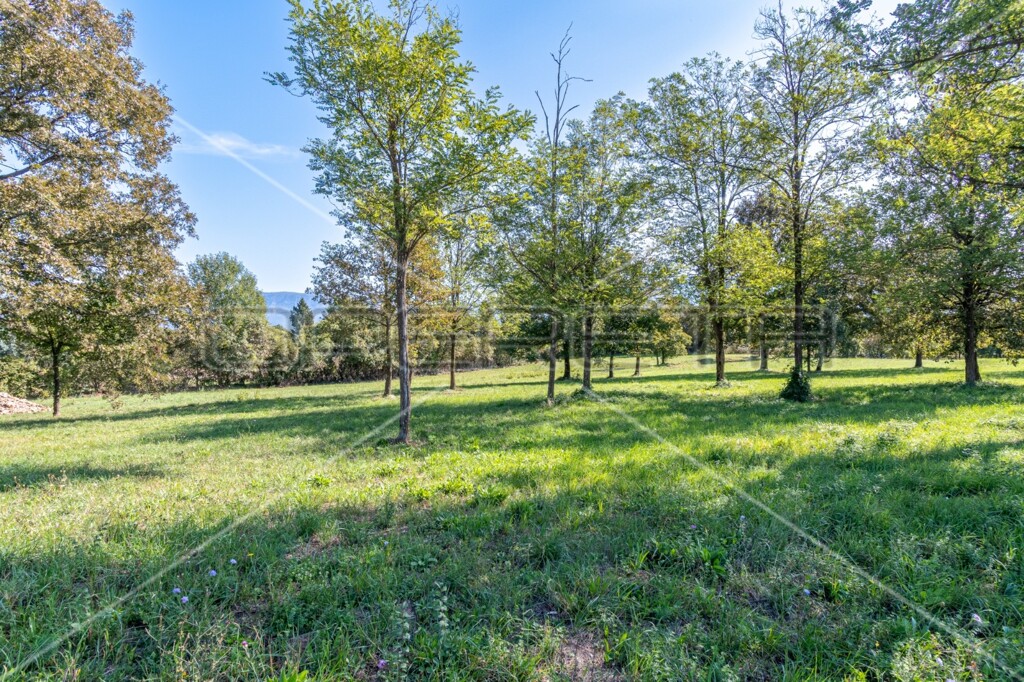 Image 6140939 - 4