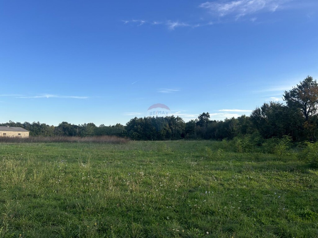 Image 6141072 - 4