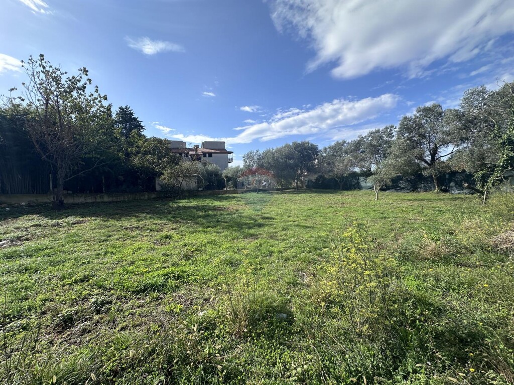 Image 6141084 - 1