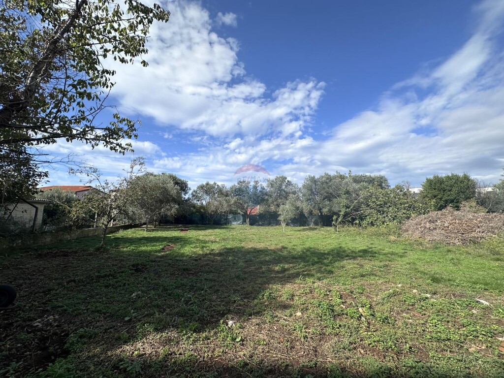 Image 6141084 - 3