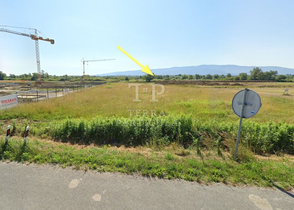 Image 6141992 - 2