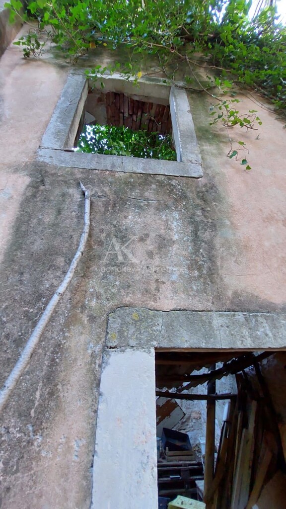 Image 6142100 - 5