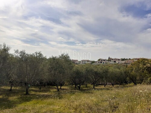 ISTRA, VIŽINADA – dvije građevinske parcele