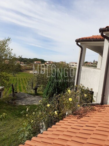 Thumbnail 6142125 - 3