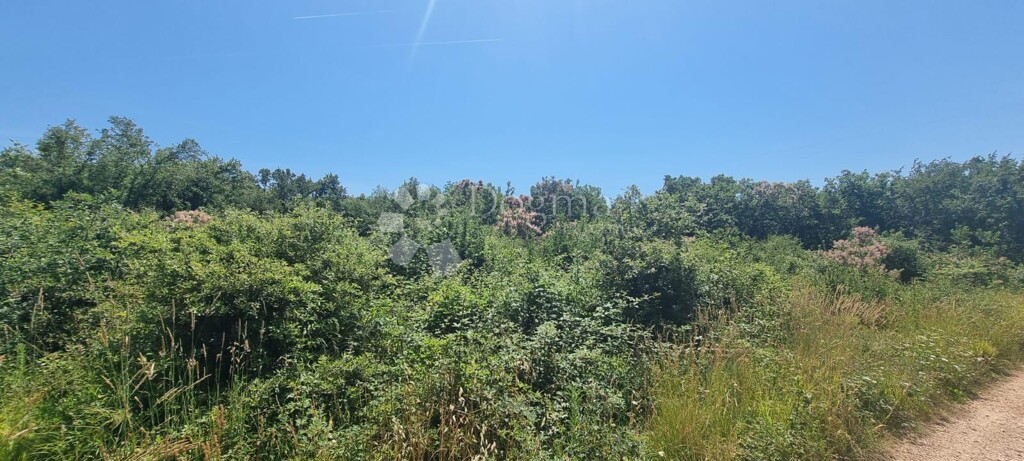 Image 6142677 - 4