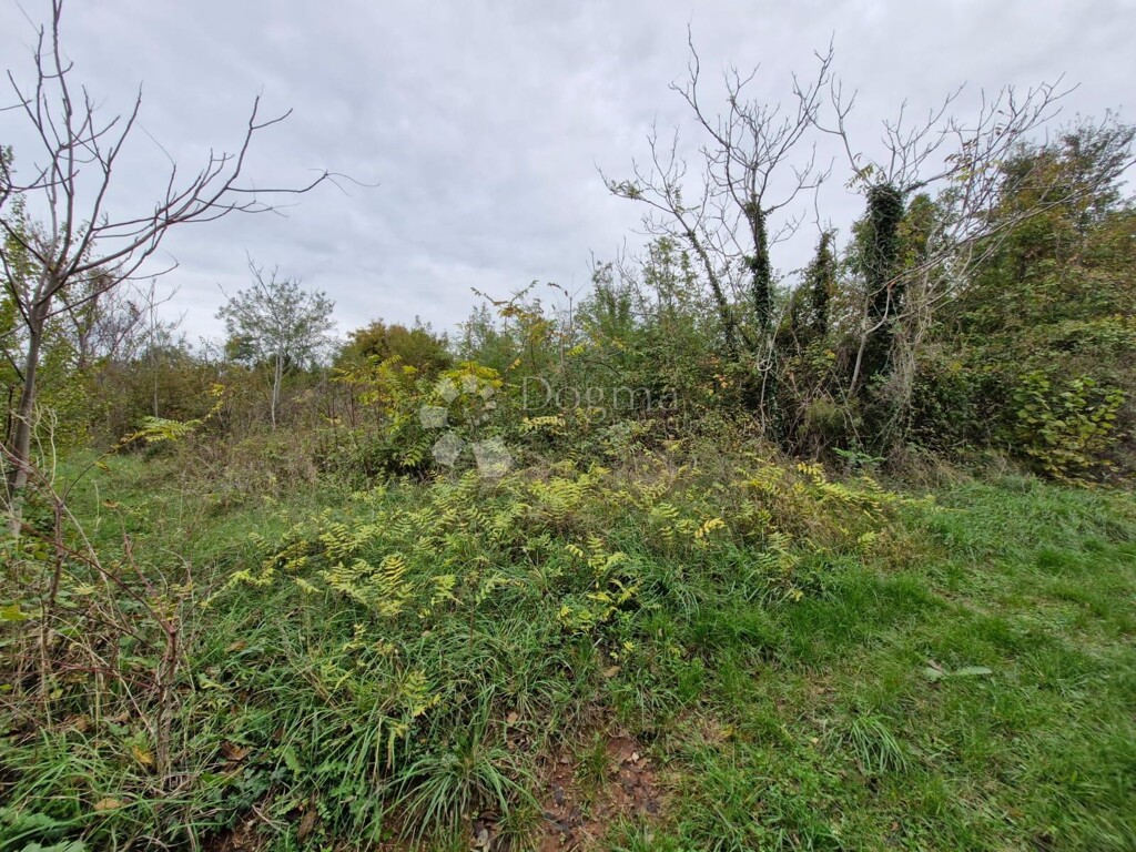 Image 6142690 - 3