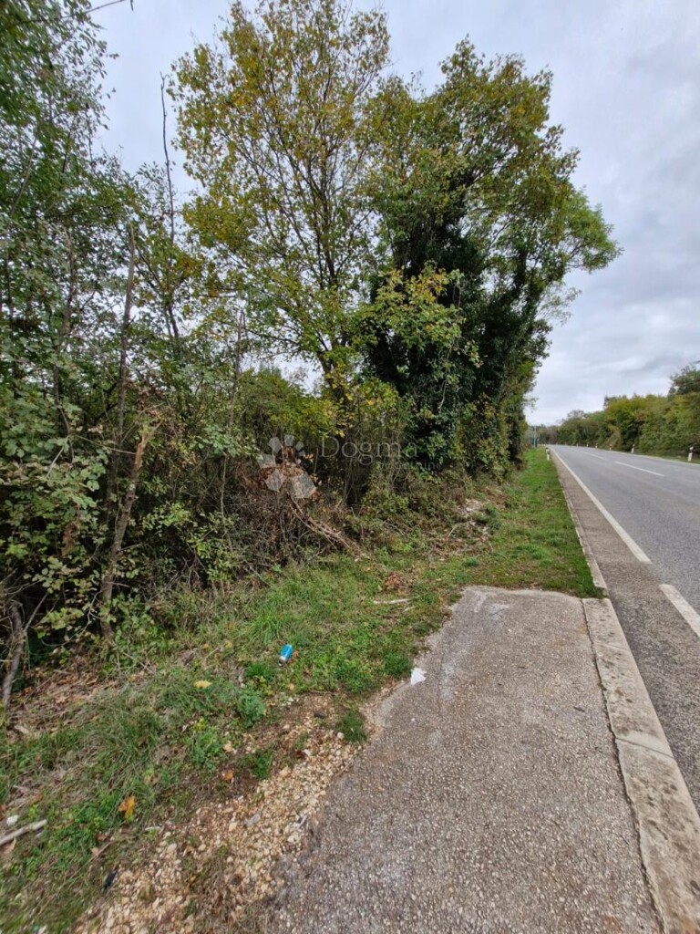 Image 6142690 - 2