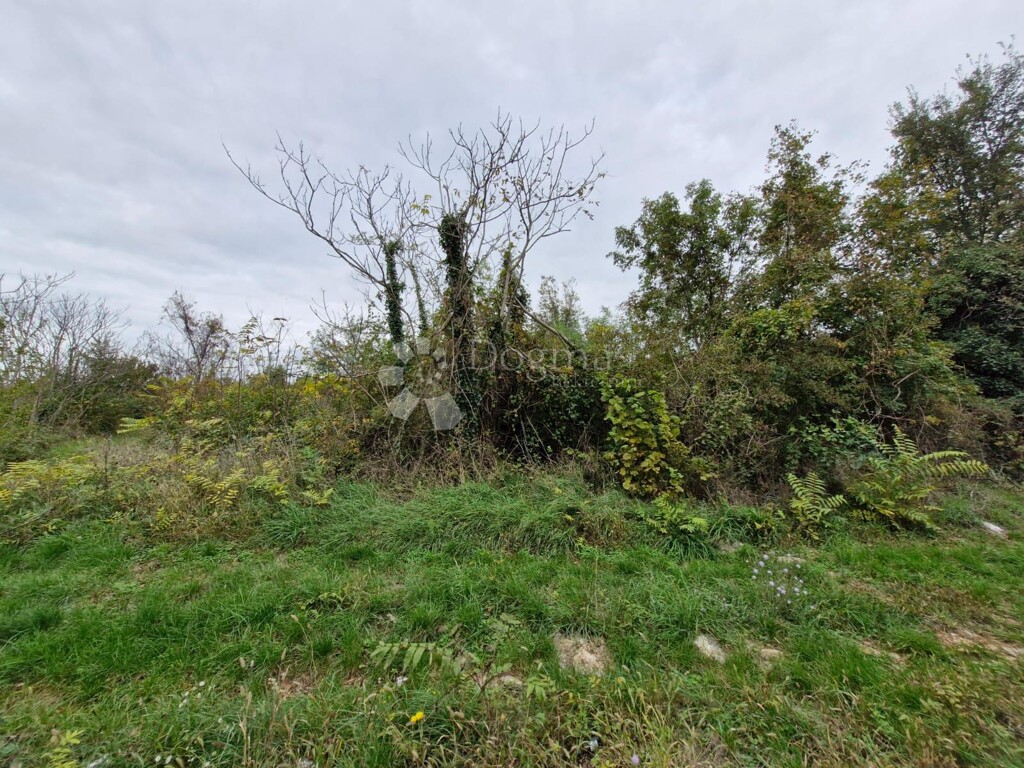 Image 6142690 - 1