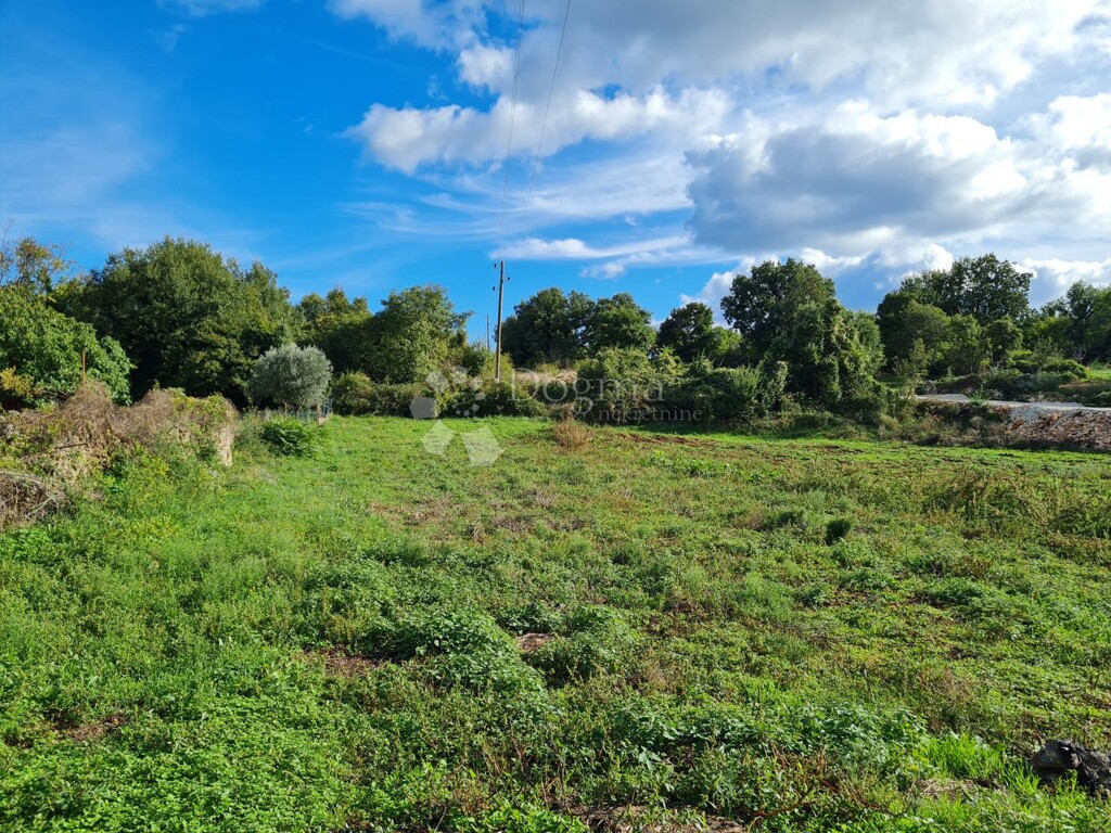 Image 6142692 - 2