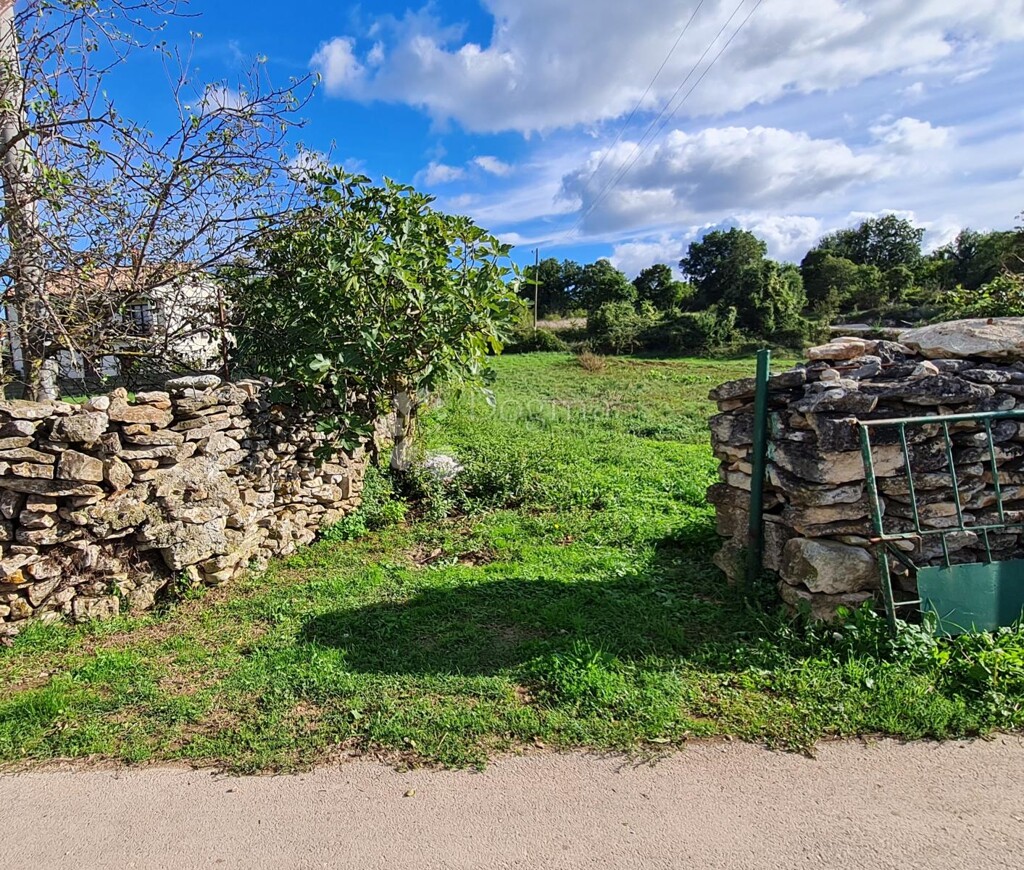 Image 6142692 - 1