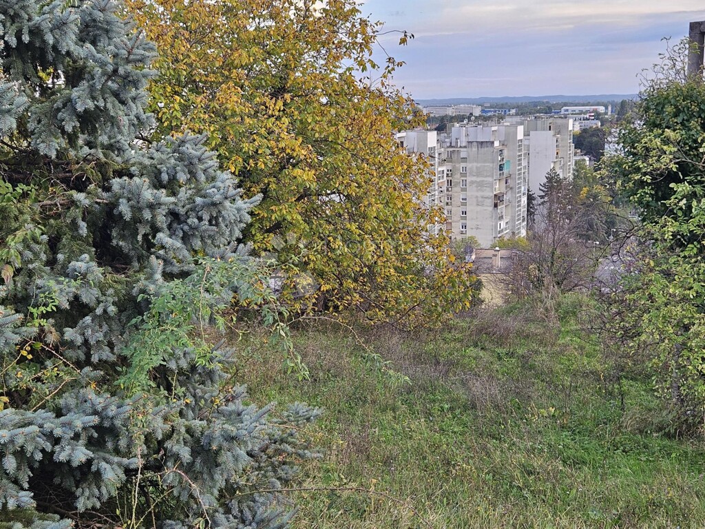 Image 6142696 - 7