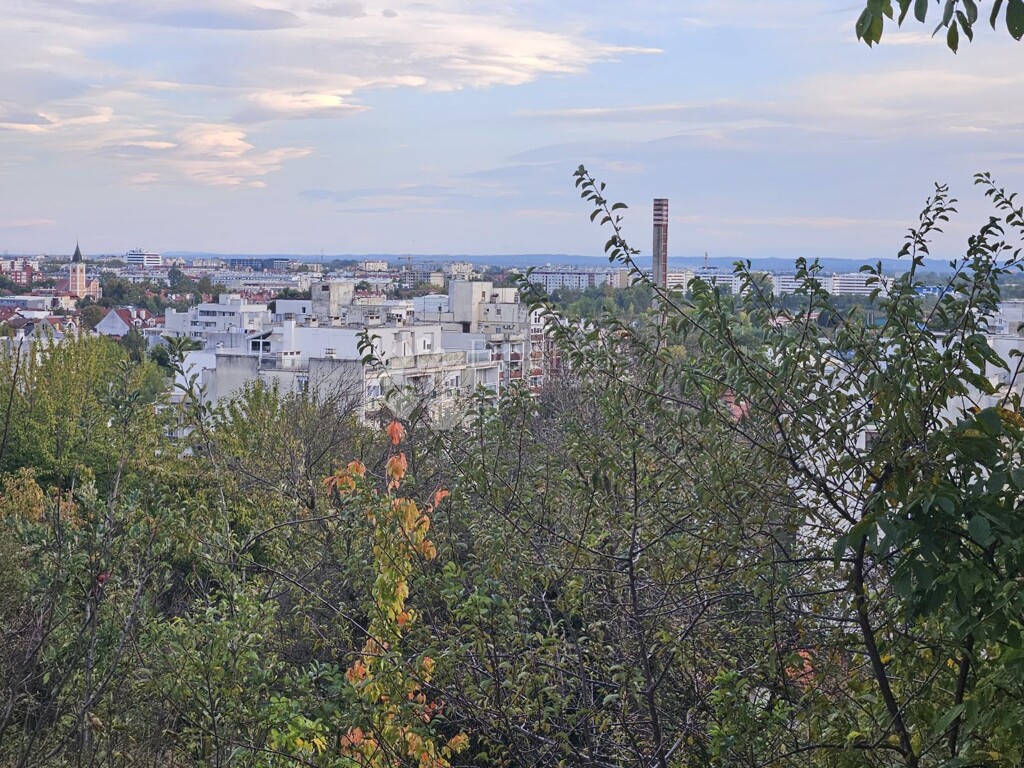 Image 6142696 - 1
