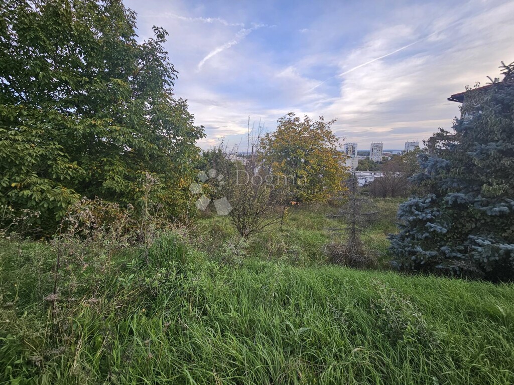 Image 6142696 - 10
