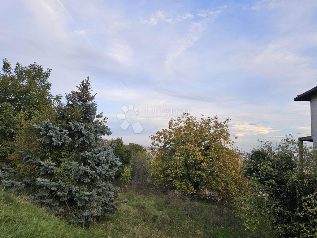 Image 6142696 - 15