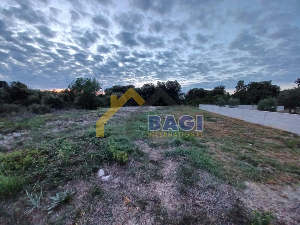 Image 6142711 - 1