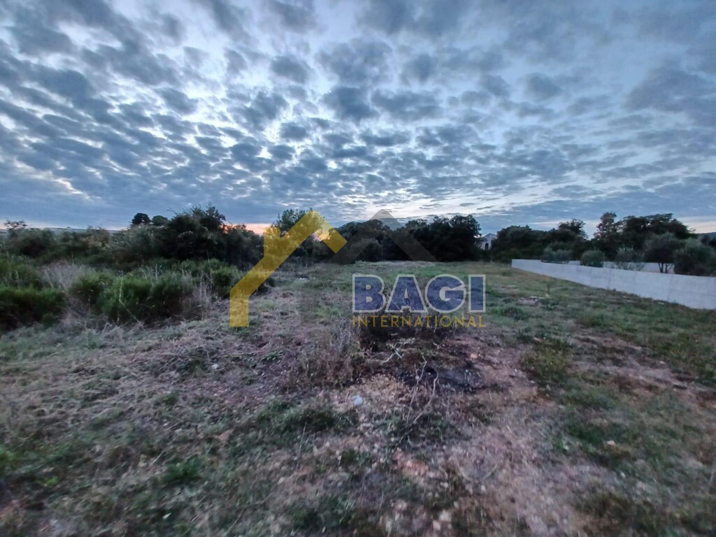 Image 6142711 - 2