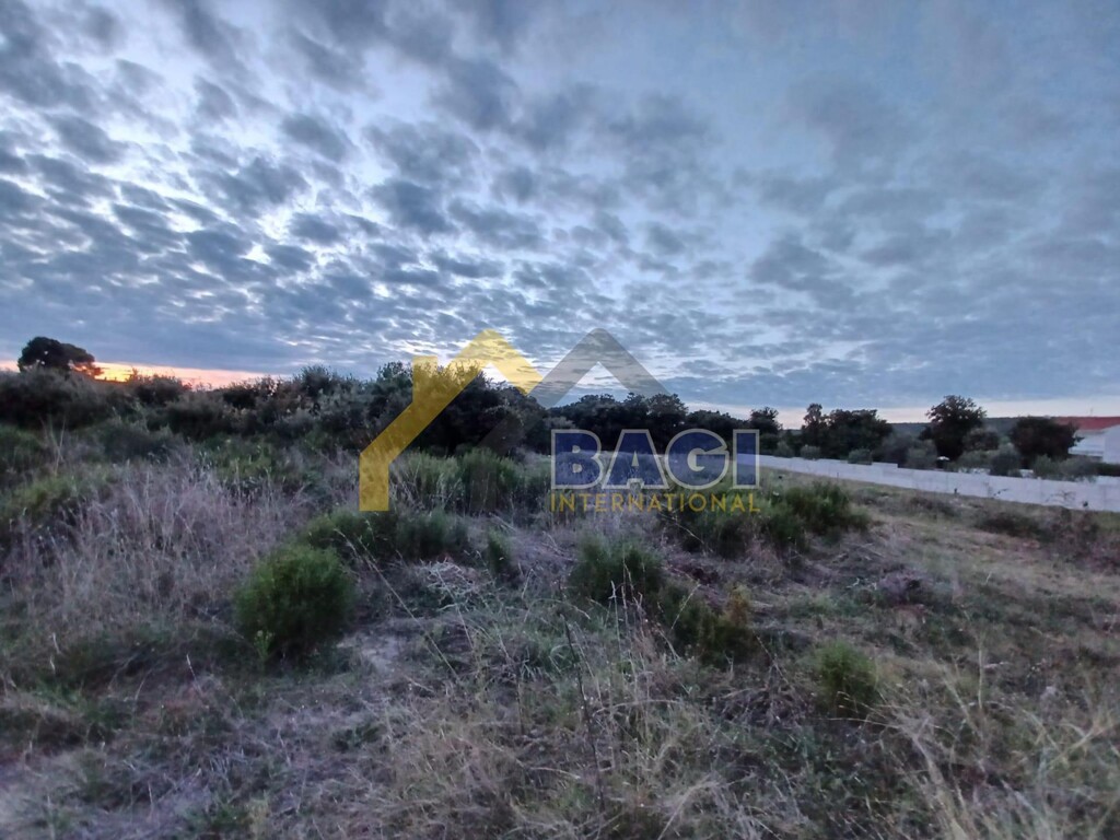 Image 6142712 - 1
