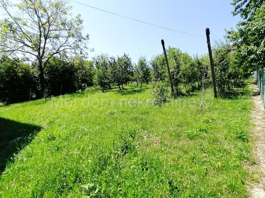 Image 6142747 - 4