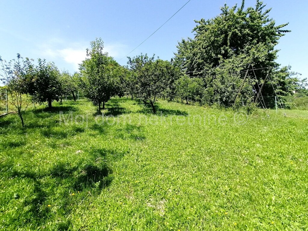 Image 6142747 - 5