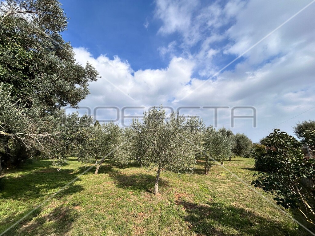 Image 6142794 - 6
