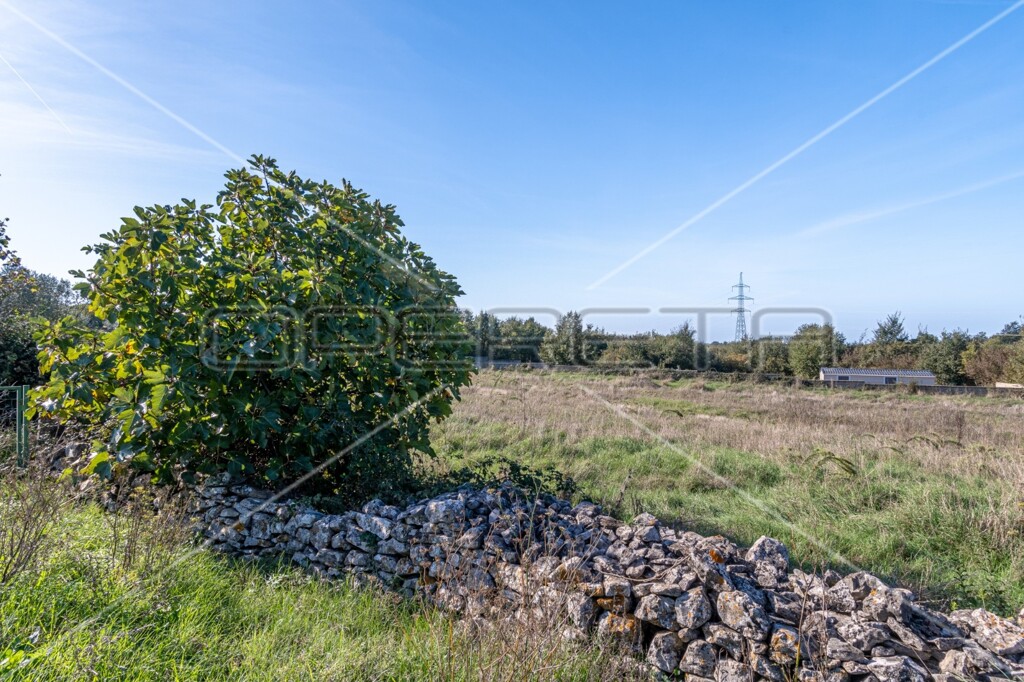 Image 6142795 - 4