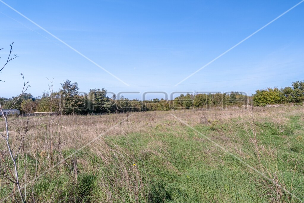 Image 6142795 - 3