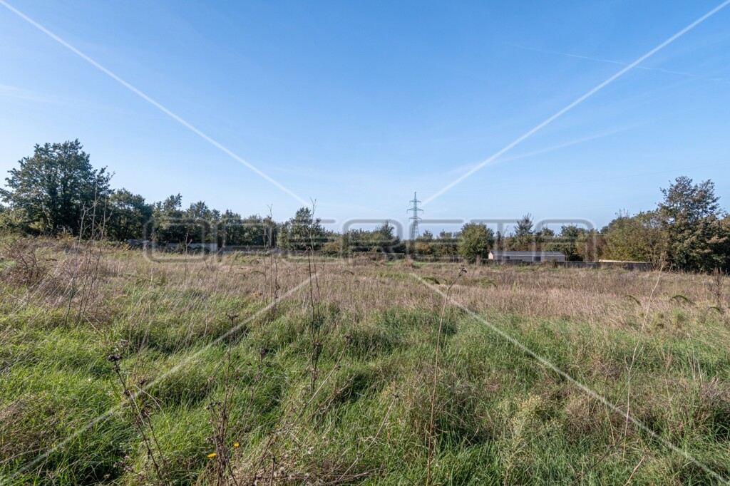 Image 6142796 - 4