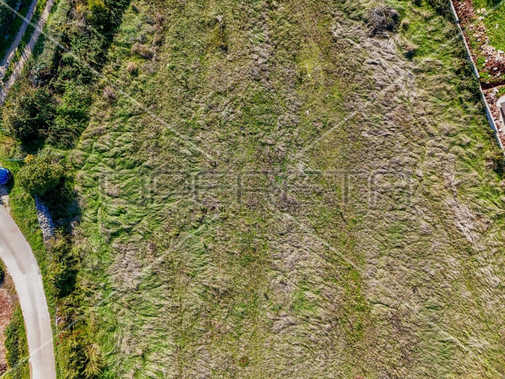 Image 6142796 - 5
