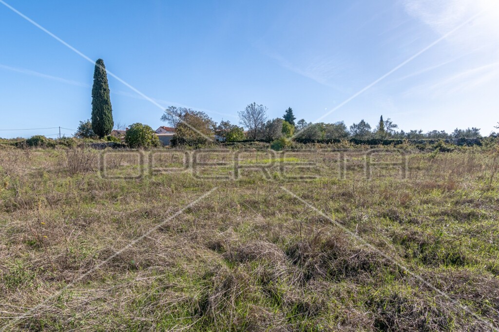 Image 6142796 - 3