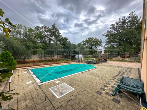 Thumbnail 6143089 - 5