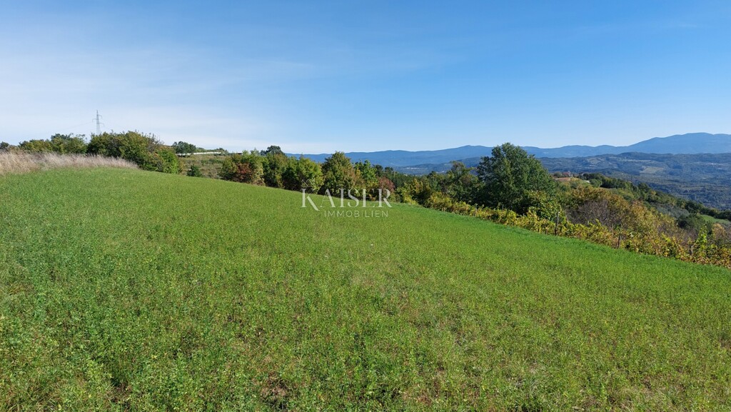 Image 6143195 - 6