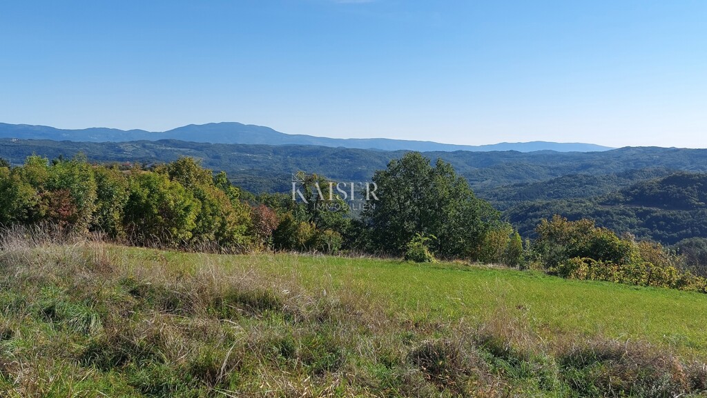 Image 6143195 - 3
