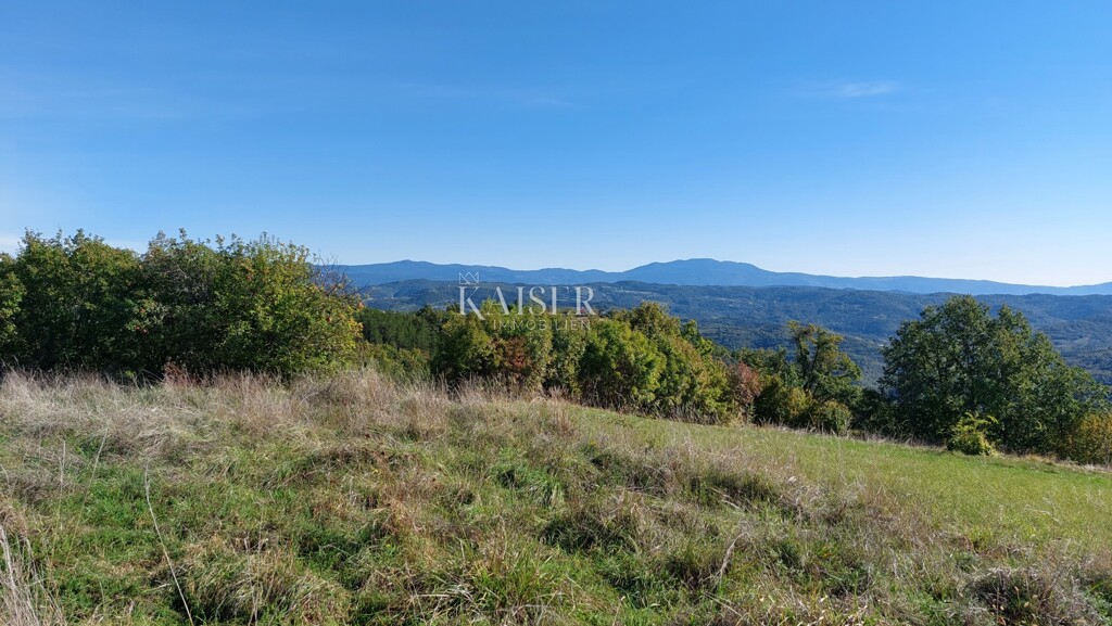 Image 6143195 - 5