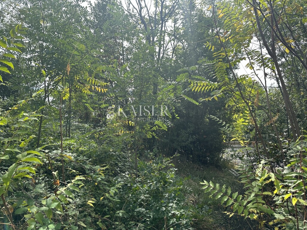Image 6143197 - 17