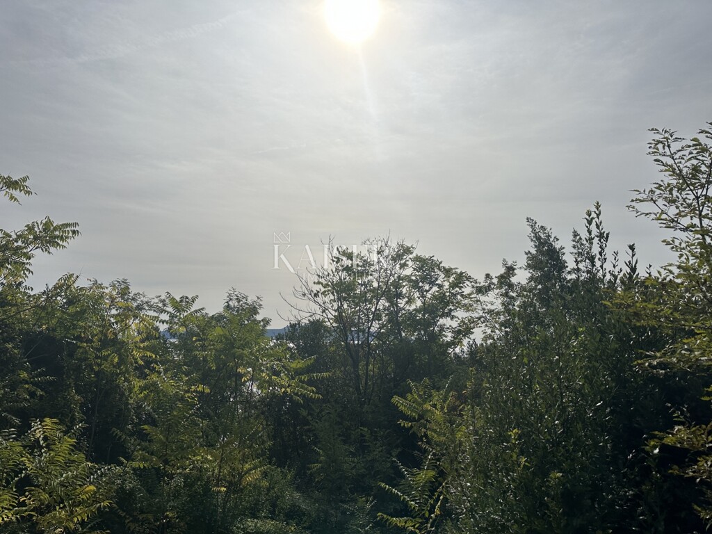 Image 6143197 - 5