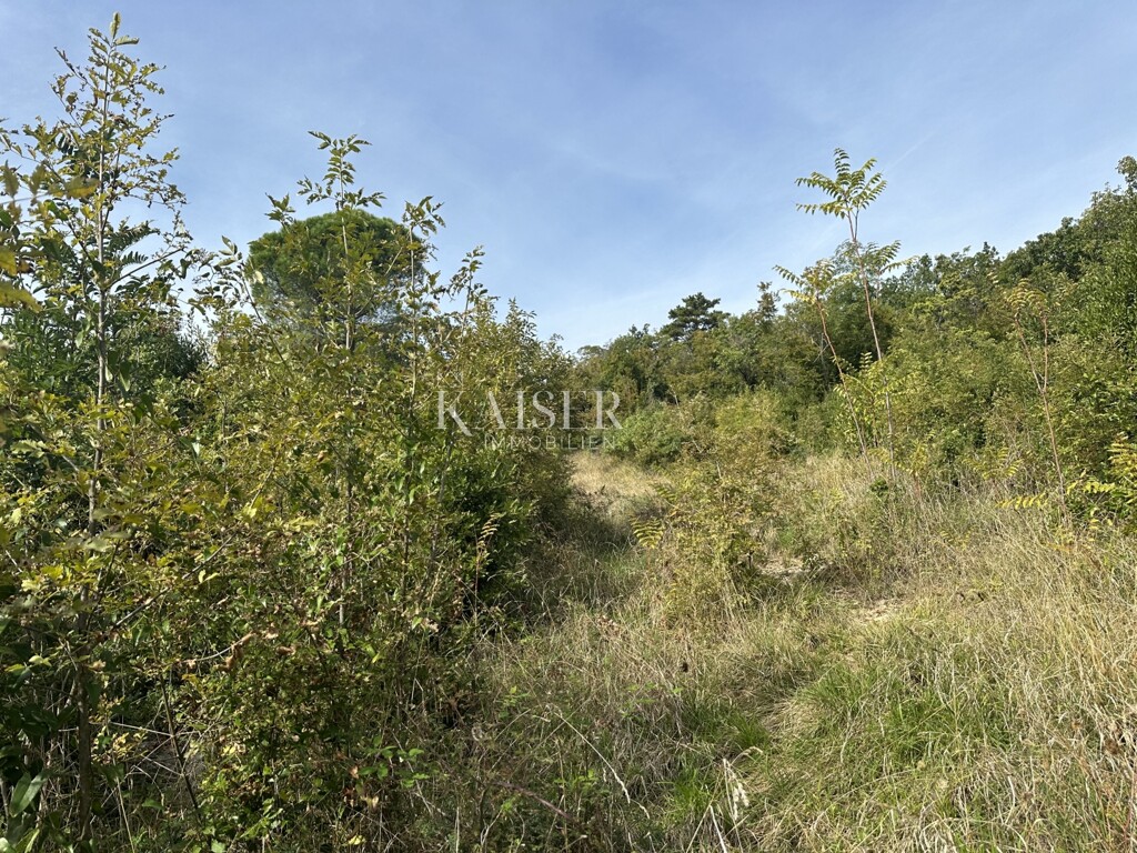 Image 6143197 - 6