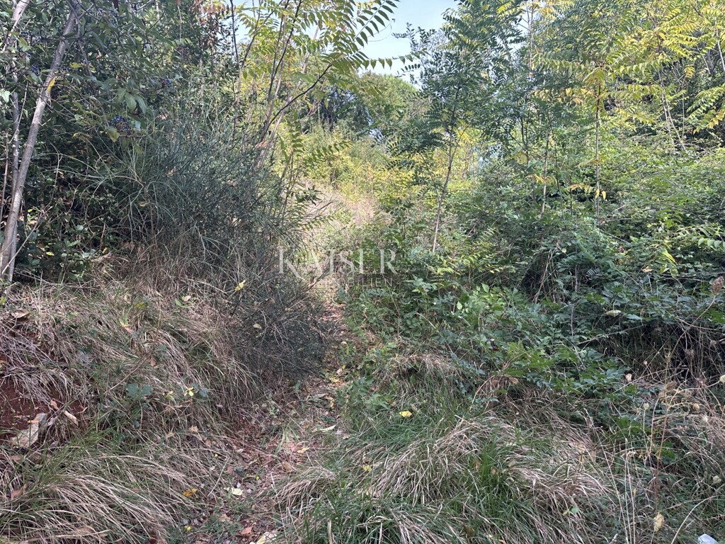 Image 6143197 - 16