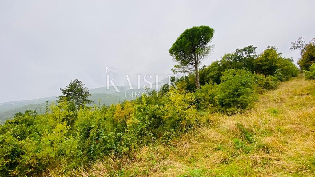 Image 6143197 - 11