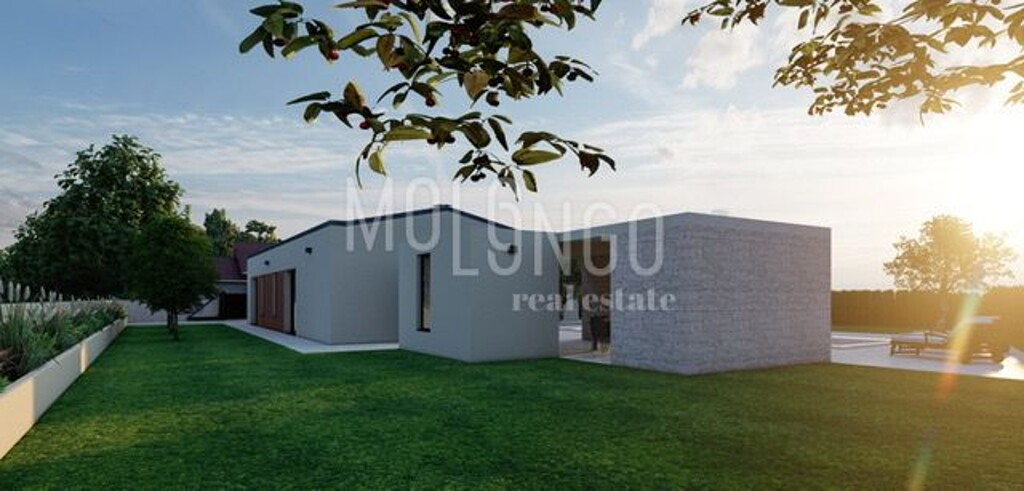 Image 6143628 - 23