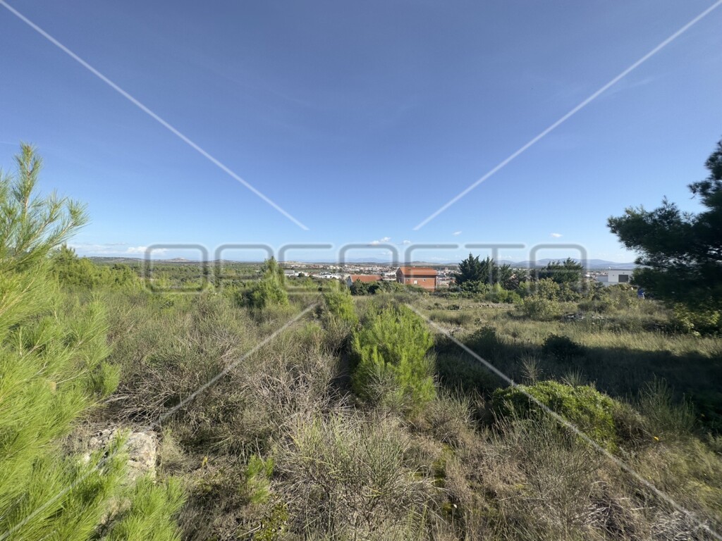 Image 6143697 - 6