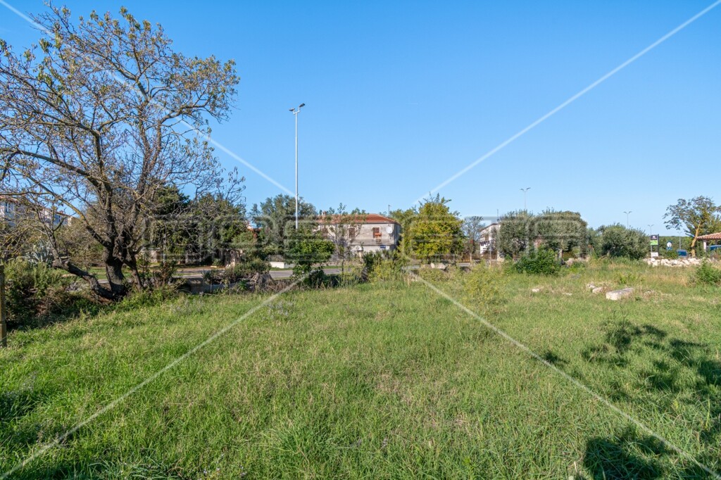 Image 6143729 - 4