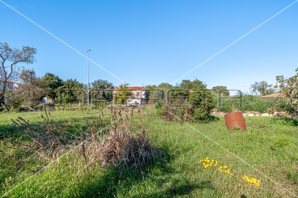 Image 6143729 - 5
