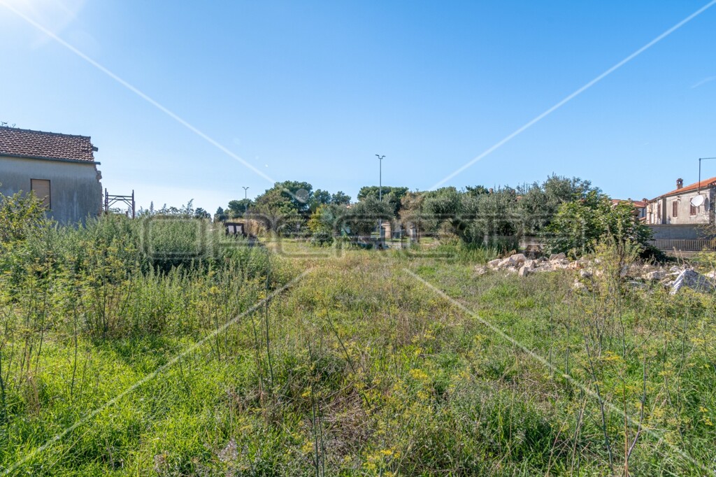 Image 6143729 - 1