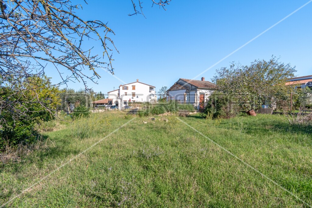 Image 6143729 - 3