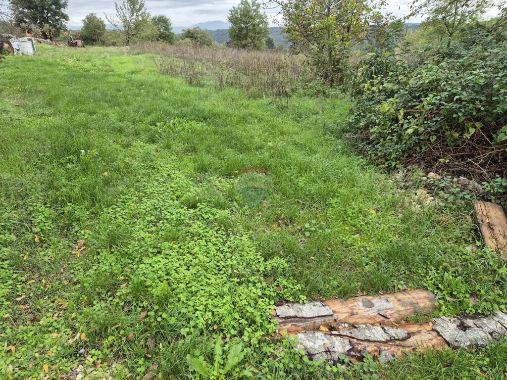 Image 6144142 - 1