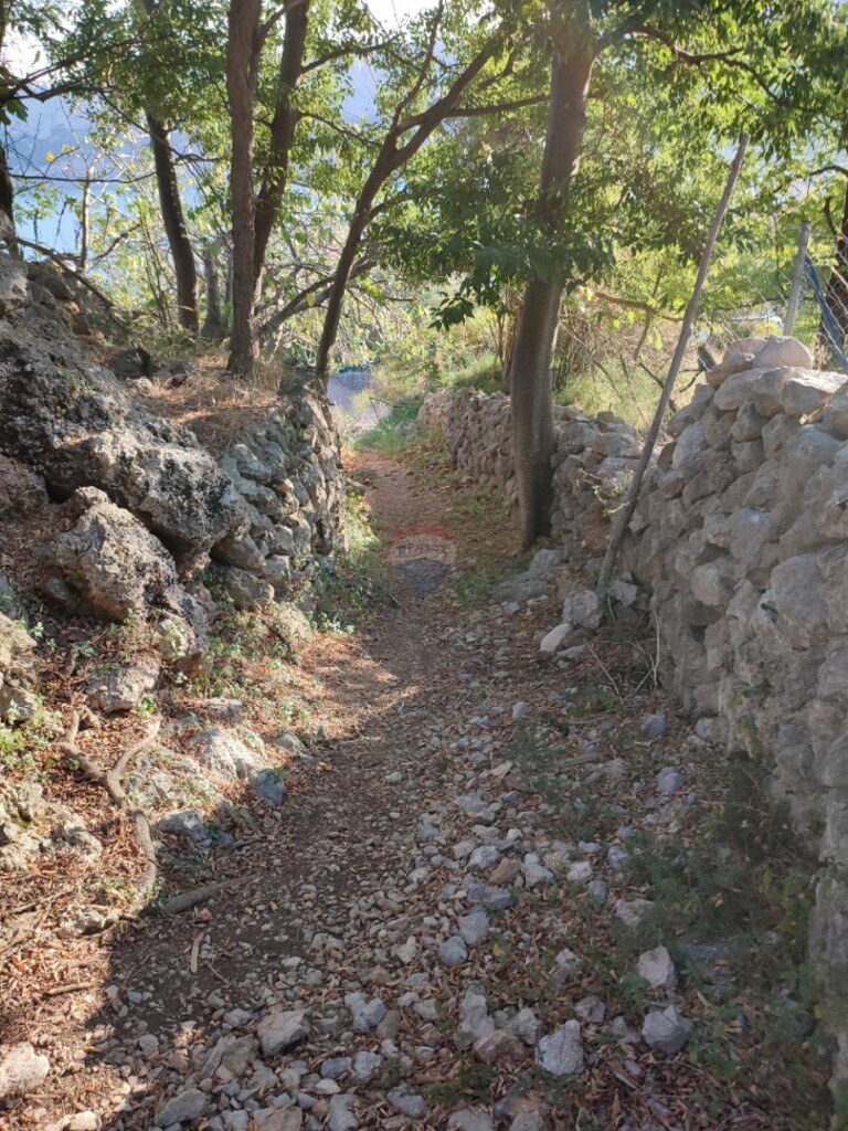 Image 6144150 - 7