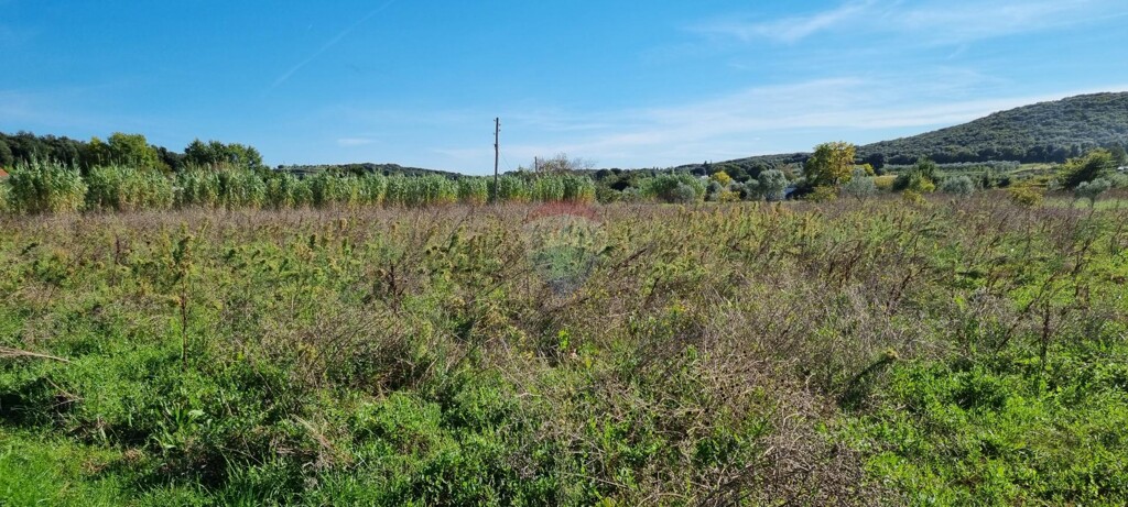 Image 6144158 - 2