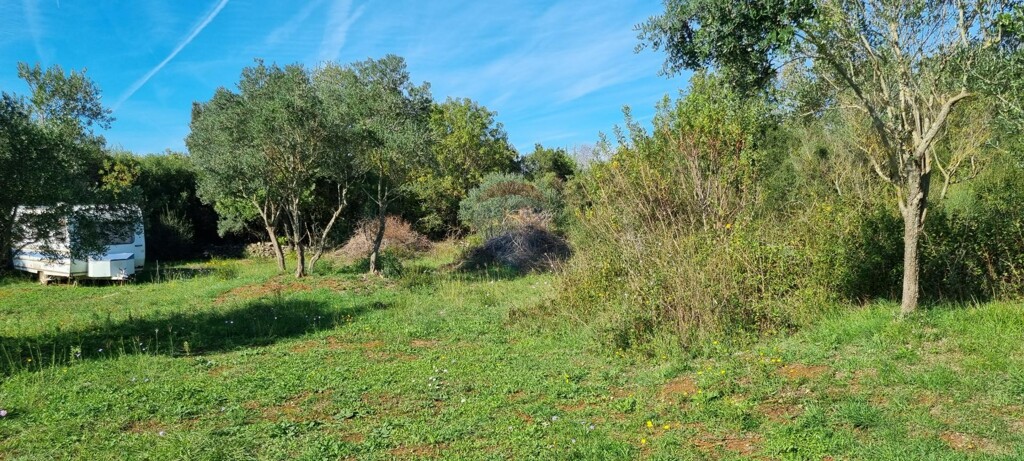 Image 6144159 - 3