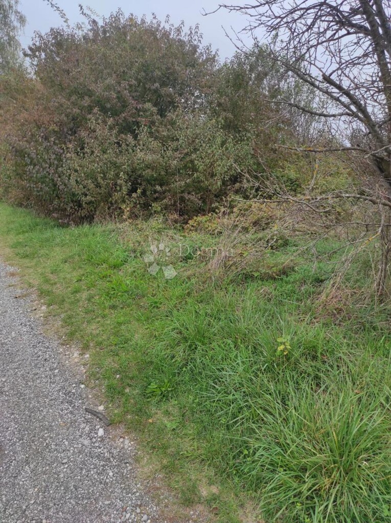 Image 6144957 - 6