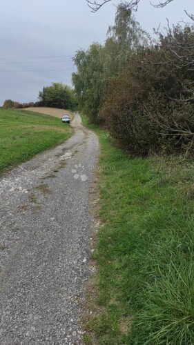 Thumbnail 6144957 - 4